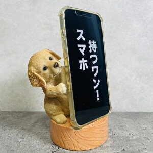 X}zX^h S[fgo[ woobia E[rA  Ck   Aj} X}zz_[  v[g Mtg 蕨 u  A Aj}IuWF CeA 