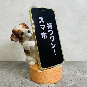 X}zX^h WbNbZ woobia E[rA  Ck   Aj} X}zz_[  v[g Mtg 蕨 u  A Aj}IuWF CeA 킢