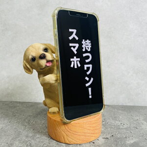 X}zX^h uh[go[ woobia E[rA  Ck   Aj} X}zz_[  v[g Mtg 蕨 u  A Aj}IuWF CeA 