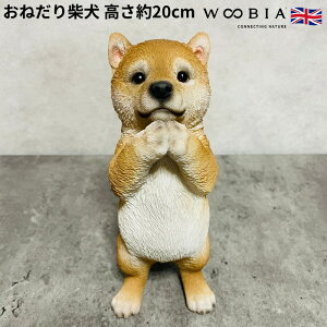 킢̒u ˂Č ObY woobia E[rA Ck  K[f CeA gC IuWF  v[g k  G  _ ʔ  Mtg O  A 