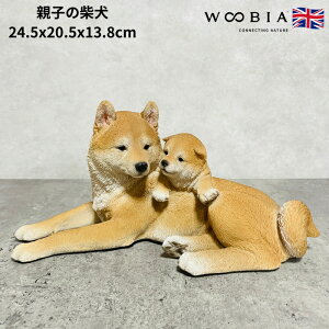 킢̒u eq̎Č ObY woobia E[rA Ck  K[f CeA gC IuWF  v[g k  G  _ ʔ  Mtg O  A 