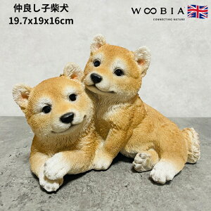 킢̒u ǂqČ ObY woobia E[rA Ck  K[f CeA gC IuWF  v[g k  G  _ ʔ  Mtg O  A 