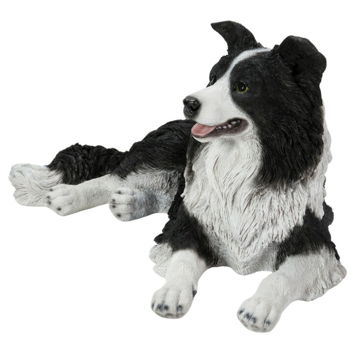 楽天市場】犬 置物 大きい うつぶせボーダーコリー 横幅75cm woobia 