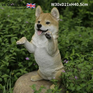 u Č ObY Ck 40.5cm woobia E[rA 傫 킢  K[f CeA IuWF   v[g k  G  _ ʔ  Mtg 
