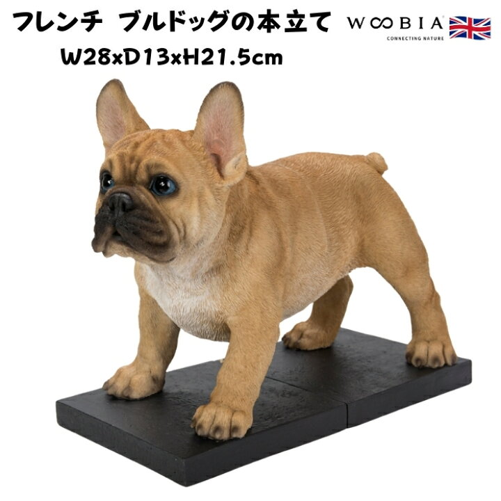 楽天市場】おしゃれなフレンチブルドッグの本立て 横幅28cm グッズ 
