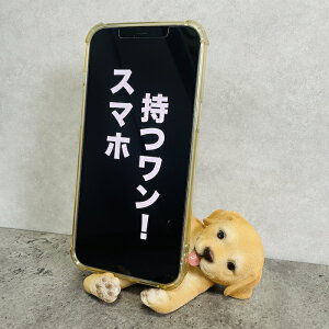 X}zX^h uh[go[ woobia E[rA  Ck   Aj} X}zz_[  v[g Mtg 蕨 u  A Aj}IuWF CeA 
