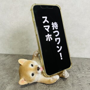 X}zX^h Č ObY woobia E[rA  Ck   Aj} X}zz_[  v[g Mtg 蕨 u  A Aj}IuWF CeA 킢  