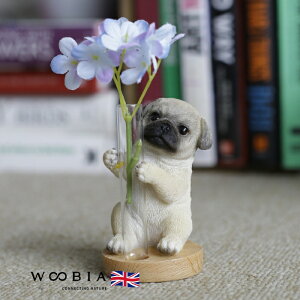  u  킢 pO ֑} woobia E[rA  K[f CeA gC IuWF v[g k  G  _ ʔ  Mtg O  A ֐  