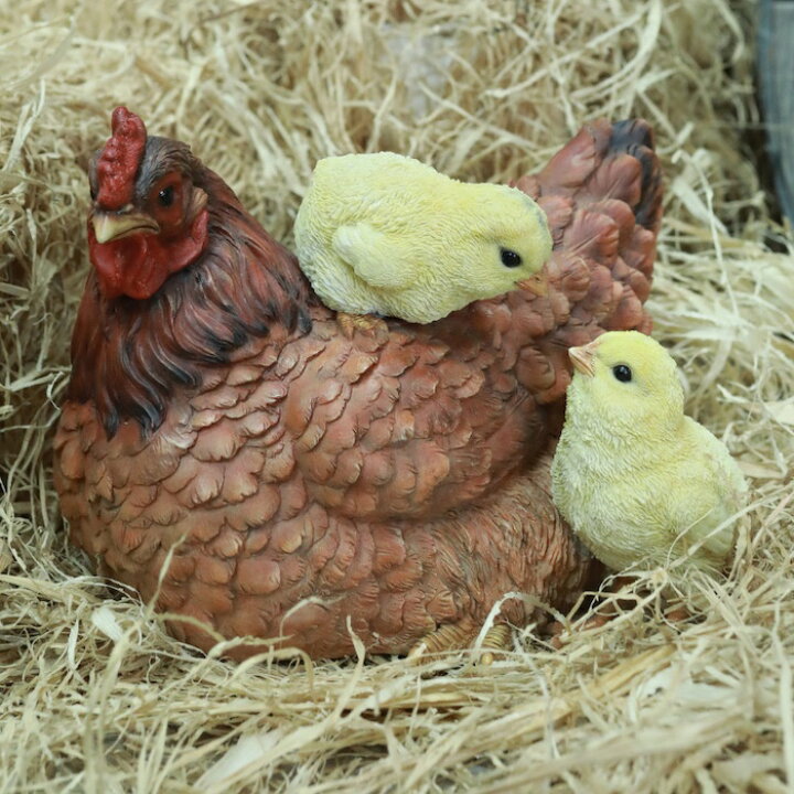 楽天市場】置物 鳥 かわいい オブジェ 北欧 動物 鶏の親子 横幅23cm 