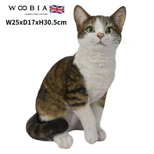 u LWgL ij lR 30.5cm woobia E[rA 傫 킢  K[f CeA IuWF   v[g k  G  _ ʔ  M