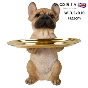 u t`uhbȌug[̎O\ Ck  21cm woobia E[rA 傫 킢  K[f CeA IuWF  v[g k  G  