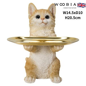 u gL̏u g[̎O\ lR 20.5cm woobia E[rA 傫 킢  K[f CeA IuWF  v[g k  G  _ ʔ