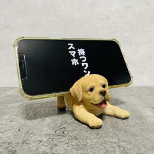 X}zX^h Qׂ郉uh[Ego[ woobia E[rA  Ck   Aj} X}zz_[  v[g Mtg 蕨 u  A Aj}IuWF C