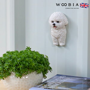  u  킢 rVt[[̃}Olbg u woobia E[rA Ck  K[f CeA gC v[g k  G  _ ʔ  Mtg O  