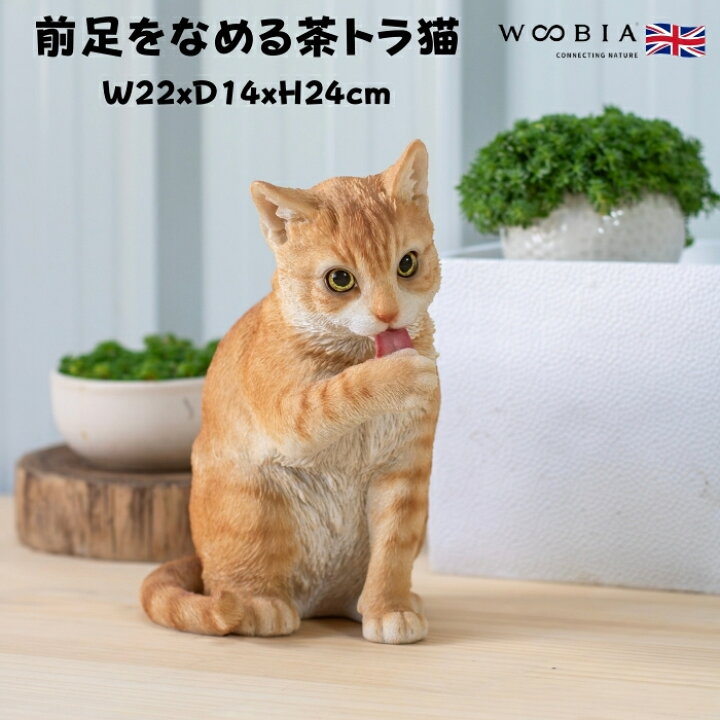 猫 置物 リアルでかわいい おしゃれ 大きい 前足をなめる茶トラ猫 ネコ 高さ24cm woobia ウービア ガーデン インテリア オブジェ 可愛い プレゼント 北欧 玄関 雑貨 動物 モダン 面白い 庭 ギフト 屋外 家 玄関先 ガーデンオーナメント クラピア・観葉植物