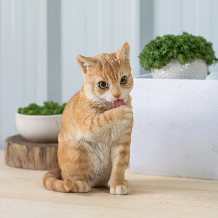 楽天市場】猫 置物 リアルでかわいい おしゃれ 大きい 前足をなめる茶 