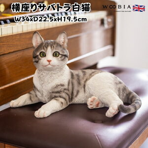 u TogL lR 19.5cm woobia E[rA 傫 킢  K[f CeA IuWF   v[g k  G  _ ʔ  Mtg O 