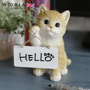 킢 u 16.9cm EŃ{[hgL woobia E[rA  K[f CeA gC IuWF  v[g k  G  _ ʔ  Mtg O 