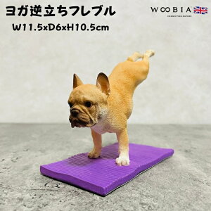 킢̒u 10.5cm t`uhbO Kt woobia E[rA Ck  K[f CeA gC IuWF  v[g k  G  _ ʔ  M