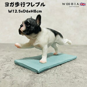 킢̒u 8cm t`uhbO Ks woobia E[rA Ck  K[f CeA gC IuWF  v[g k  G  _ ʔ  Mtg 
