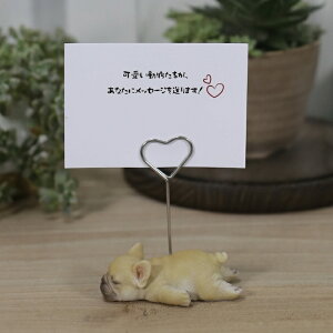 ̃X^h t`uhbO woobia E[rA 킢Nbv h fXN z_[ 蕨 u  A CeA   G v[g Mtg
