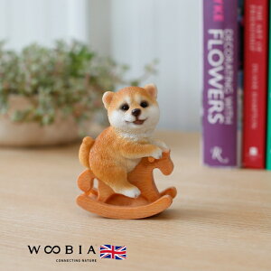 킢  u ؔnɏČ ObY woobia E[rA Ck  K[f CeA gC IuWF  v[g k  G  _ ʔ  Mtg O  A