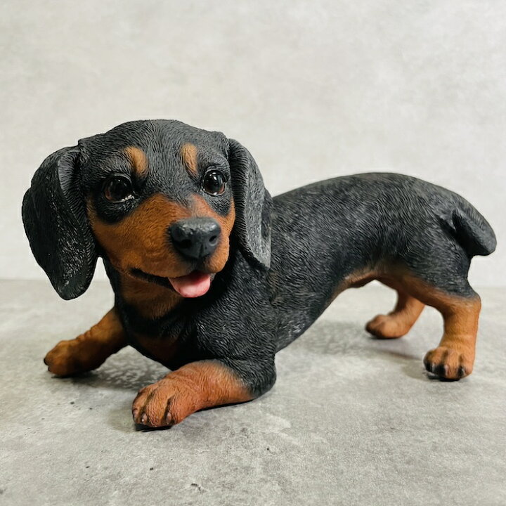 楽天市場】かわいい 犬 置物 横幅22.5cm じゃれる ミニチュアダックス