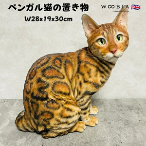 L u Ał킢  傫 xKL lR 30cm woobia E[rA K[f CeA IuWF   v[g k  G  _ ʔ  Mtg O