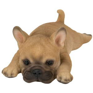 Ԃ̓̂킢u S10 Jbv }Olbgt   Lb` CeA woobia E[rA gC IuWF  v[g k  G  _ 