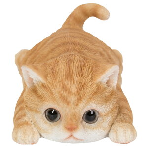 Ԃ̓̂킢u S10 Jbv }Olbgt   Lb` CeA woobia E[rA gC IuWF  v[g k  G  _ 