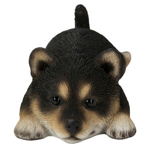 Ԃ̓̂킢u S10 Jbv }Olbgt   Lb` CeA woobia E[rA gC IuWF  v[g k  G  _ 