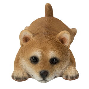 ���Ԃ��̓����̂��킢���u�� �S10��� �J�b�v������ �}�O�l�b�g�t�� ������� ��� �L�b�`�� �C���e���A woobia �E�[�r�A �g�C�� �I�u�W�F ���� �v���[���g �k�� ���� �G�� ���� ���_�� ��