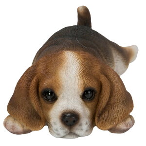 Ԃ̓̂킢u S10 Jbv }Olbgt   Lb` CeA woobia E[rA gC IuWF  v[g k  G  _ 