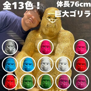 13FIׂ S u IuWF g76cm SObY 傫 킢  ʔ K[f CeA  v[g k  G  _  Mtg O 