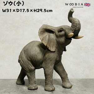 u ]E  29.5cm N  woobia E[rA 傫 킢  K[f CeA IuWF  v[g k  G  _ ʔ  Mtg O  A 
