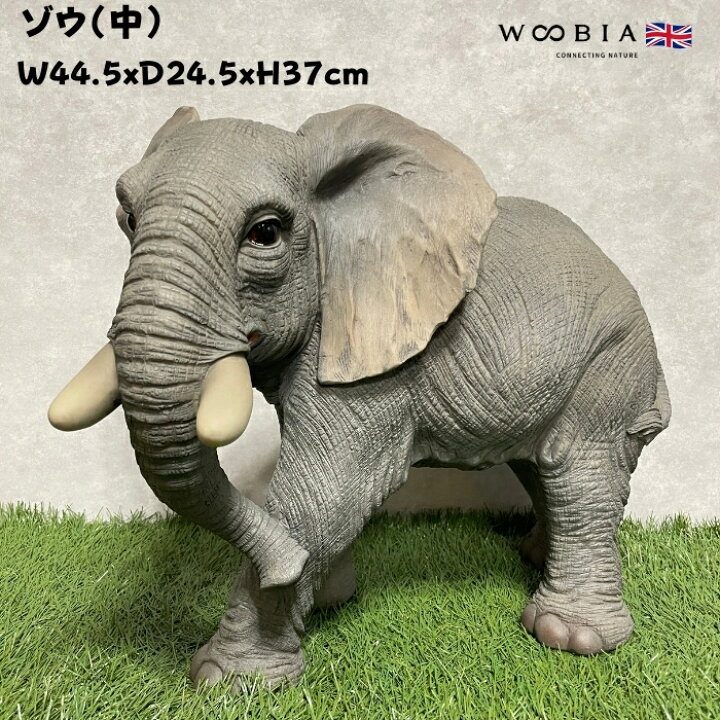 楽天市場】置物 ゾウ 象 中 横幅44.5cm 縁起物 風水 woobia ウービア 