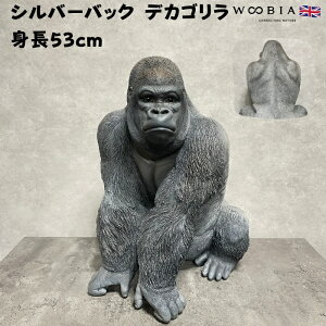 Vo[obN fJS  ObY 53cm woobia E[rA 傫 u ^ ʔ  K[f CeA IuWF  v[g k  G  _  Mt