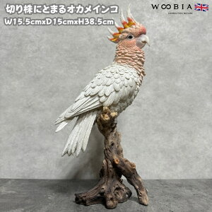 킢  u  ؂芔ɂƂ܂IJCR Ԕ 38.5cm woobia E[rA  K[f CeA IuWF  v[g k  G _ ʔ  Mtg O 