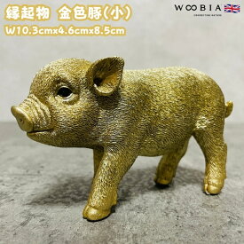 かわいい 置物 金の豚 小 ゴールデンピッグ woobia ウービア 面白い 金色の縁起物 おしゃれ ガーデン インテリア トイレ オブジェ 可愛い プレゼント 北欧 玄関 雑貨 動物 モダン 庭 ギフト 屋外 家 リアル 玄関先 卓上 ガーデンオーナメント ガーデニング