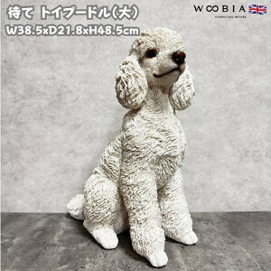 u ҂ăgCv[h   ObY 48.5cm woobia E[rA 傫 킢  K[f CeA IuWF   v[g k  G  _ ʔ  Mtg 