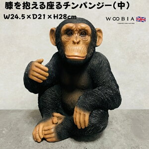 u `pW[ 28cm woobia E[rA 傫 킢  K[f CeA IuWF  v[g k  G  _ ʔ  Mtg O  A ֐ 