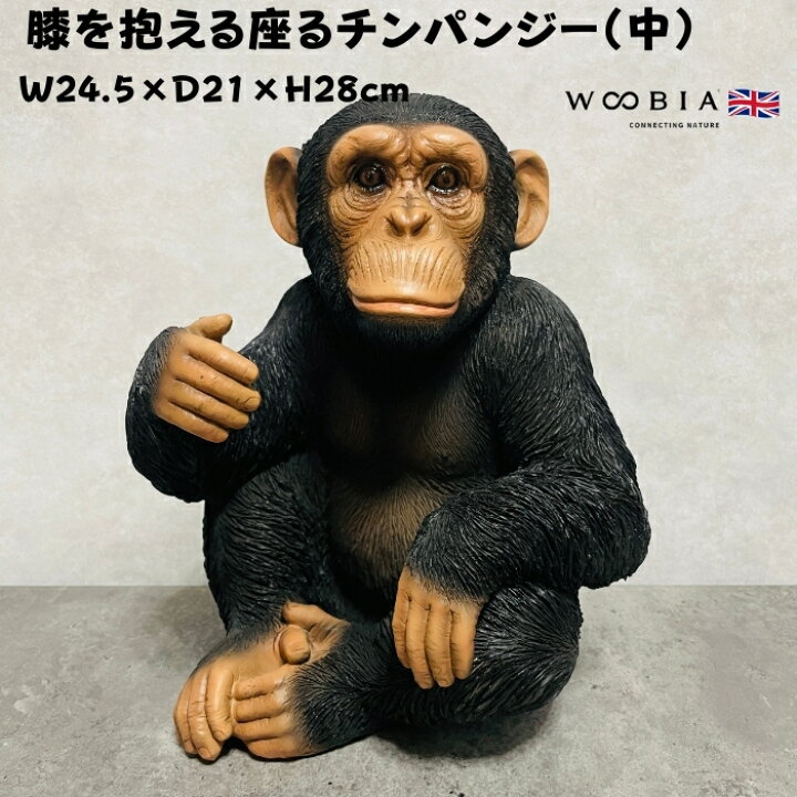 楽天市場】置物 チンパンジー 高さ28cm woobia ウービア 大きい 