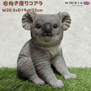 u ERA 22cm woobia E[rA 傫 킢  K[f CeA IuWF  v[g k  G  _ ʔ  Mtg O  A 