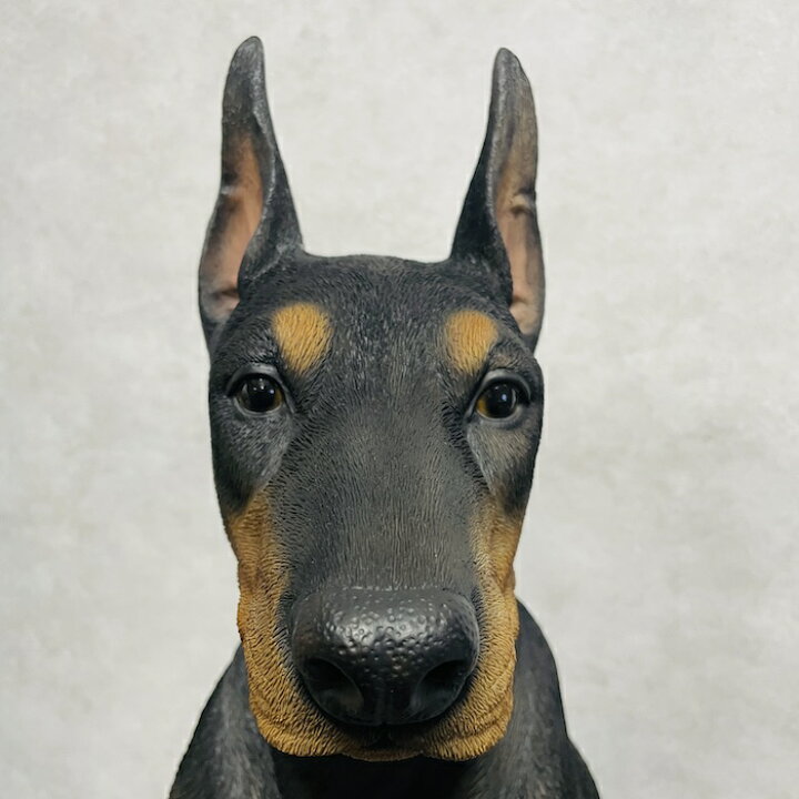 楽天市場】犬 置物 大きい お座りドーベルマン 特大 グッズ 高さ約61cm 