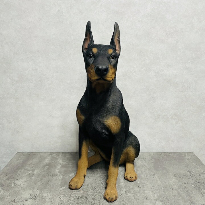 楽天市場】犬 置物 大きい お座りドーベルマン 特大 グッズ 高さ約61cm 