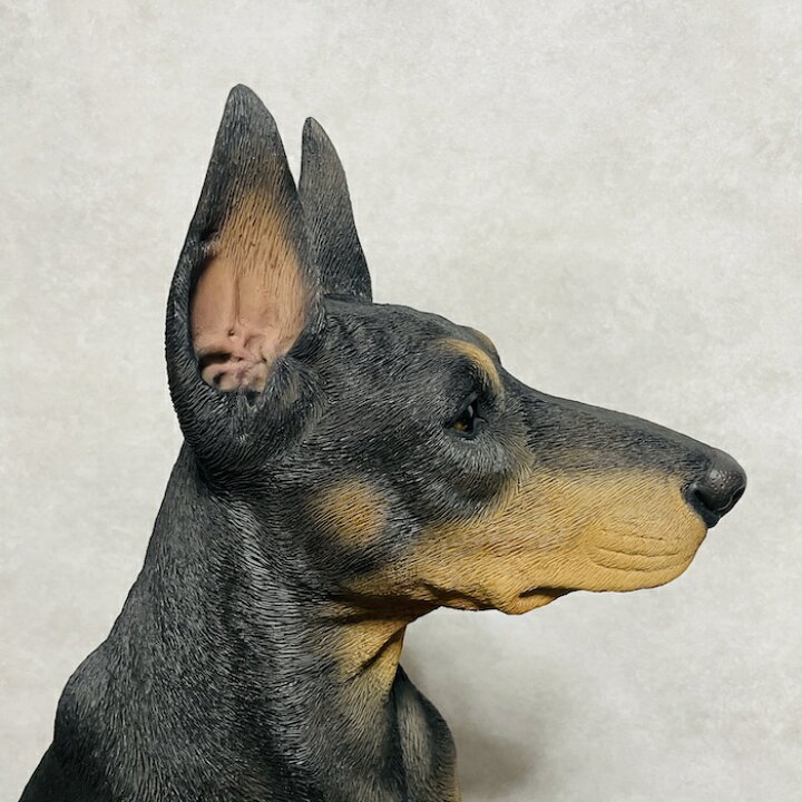 楽天市場】犬 置物 大きい お座りドーベルマン 特大 グッズ 高さ約61cm 