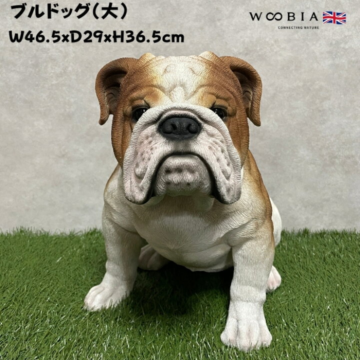 楽天市場】犬 置物 大きい ブルドッグ 大 犬グッズ 横幅46.5cm woobia 