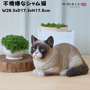 u s@ȃVL lR 17.8cm woobia E[rA 傫 킢  K[f CeA IuWF  v[g k  G  _ ʔ  Mtg O  A