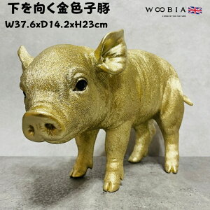 u Fq S[h F N 23cm woobia E[rA 傫 킢  K[f CeA IuWF  v[g k  G  _ ʔ  Mt