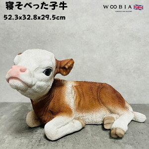 u Qׂq ObY 29.5cm IuWF woobia E[rA 킢  K[f CeA  v[g k  G  _ ʔ  Mtg O  A 